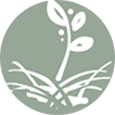 learn and grow icon