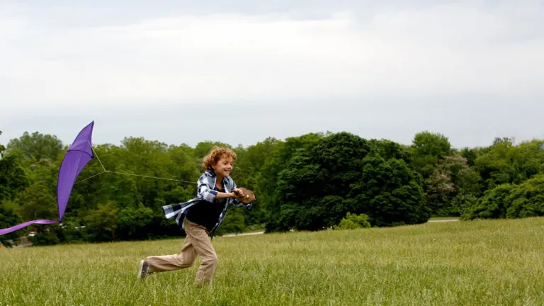 boy flying kite