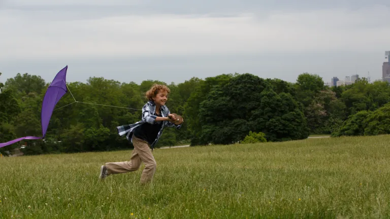 Boy with Kite