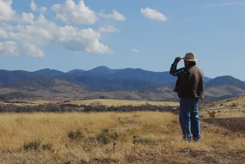 Randy looking out in a rural area